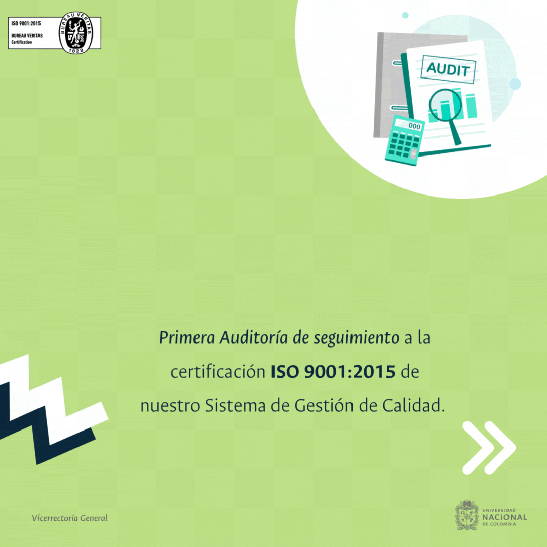 Auditoria 20250515